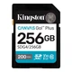 SDXC Kingston Canvas Go! Plus 256 ГБ UHS-I/U3 Class 10 (р.карта: 32 x 24 x 2.1 мм) - изображение 1