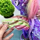 Игрушка мягкая интерактивная Сказочная лошадка единорог поводок звук свет Фиолетовая (M 6203 I UA) - изображение 4