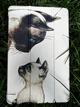 Чохол BeCover Smart Case для Samsung Galaxy Tab A9 Plus SM-X210/SM-X215/SM-X216 11.0" Cat (711277) - изображение 5