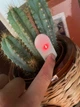 Гигрометр датчик влажности грунта для цветов Flower monitor WN 1803 - изображение 6