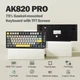 AJAZZ AK820 PRO Flying Fish Switch Black-Gray-Yellow - беспроводная клавиатура, RGB-подсветка, регулятор звука + экран - изображение 2