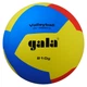 Мяч волейбольный Gala 210 Light 12 BV5555S - изображение 1