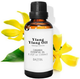 Olejek eteryczny Daffoil Ylang Ylang 100 ml (767870878831) - obraz 2