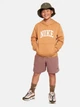 Подростковое теплое худи на флисе для мальчика Nike K NSW CLUB FLC HDY HBR MC HJ3156-224 147-158 см Бежевое (197596123173) - изображение 5