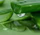 Успокаивающая маска с экстрактом алоэ LuLuLun Premium Face Mask Okinawa Aloe 5 шт (4582305069532) - изображение 5