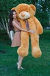 Большой плюшевый медведь Тедди Teddy Boom 180 см карамель - изображение 3