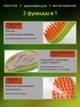 Щетка-расческа с паром для вычесывания шерсти животных Massage comb Зеленая - изображение 4