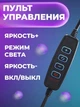 Набор блогера Кольцевая лампа 26 см со штативом 2 метра и с держателем для телефона - изображение 4