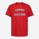 Детская футболка для мальчика Tommy Hilfiger 891187967 122 см Красная (1159842755) - изображение 1