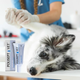 Гелева пов'язка JM Sante Pharma POLISEPT VET WOUND GEL SILVER PRO для собак і котів 30 мл (5902596718480) - зображення 3