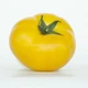 Насіння томатів KS 17 F1 Kitano Seeds 10 шт - зображення 3