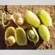 Нут горох турецький GL Seeds 50 г - зображення 4