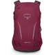 Туристический рюкзак Osprey Hikelite 18 chameleon/black (009.4008) - изображение 2