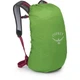 Туристический рюкзак Osprey Hikelite 18 chameleon/black (009.4008) - изображение 5