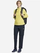 Свитшот утепленный женский Jack Wolfskin Taunus Hz W 1709532-M0064 XS Желтый (4064886591737) - изображение 3