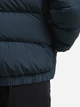 Пуховик зимний короткий женский Jack Wolfskin Frozen Palace Jkt W Rds A65097-C0539 L Синий (4064886552110) - изображение 4