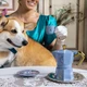 Гейзерна кавоварка для плити алюміній 3 чашки Bialetti бірюзовий - зображення 7