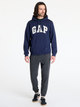 Худі чоловіче GAP 868453-07 M Синє (1200138430284) - зображення 3