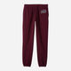 Spodnie dresowe damskie ocieplane GAP 463492-03 L-Regular Bordowe - obraz 4