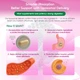 Добавка премиум-класса для поддержания жизненной силы Vitаl Herbal Liposomal Inositol 150 капсул - изображение 5