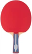 Ракетка для настольного тенниса GEWO Standard Pro FL (600300001) - изображение 1