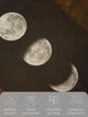 Килимок для йоги та фітнеса Lita Way of Moon з натурального каучуку та мікрофібри | Home-версія, 183x68 см | Збільшена ширина - зображення 4