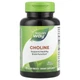 Холін Nature's Way (Choline) 500 мг 100 таблеток NWY40460 - зображення 1