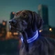 Ошейник для собак с подсветкой Collar WAUDOG LED RGB Type C регулируемый Ш 25 мм Дл 60 см - изображение 2