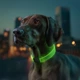 Ошейник для собак с подсветкой Collar WAUDOG LED RGB Type C регулируемый Ш 25 мм Дл 60 см - изображение 3