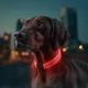 Ошейник для собак с подсветкой Collar WAUDOG LED RGB Type C регулируемый Ш 25 мм Дл 60 см - изображение 4