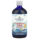 Риб'ячий жир (рідкий) для дітей Nordic Naturals (Children's DHA) зі смаком полуниці 473 мл - зображення 1