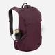 Рюкзак жіночий спортивний 15 л вміщує формат А4 Jack Wolfskin Waimea A64019-I0116 Сливовий (4064886510660) - зображення 6
