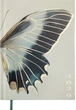 Ежедневник датированный Buromax 2026 Spoleto A5 336 страниц (BM.2168-16) - изображение 1