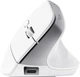 Trust Миша Trust Bayo+ Multidevice Ergonomic, BT/WL/USB-A, біла - изображение 9