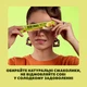 Упаковка фруктово-ягодных конфет Bob Snail Fruit Roll Looong Натуральные Яблоко-груша 15 г х 30 шт (4820287102398) - изображение 3