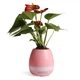 Музыкальный цветочный горшок с LED подсветкой, Smart Music Flowerpot, цвет розовый - изображение 7