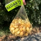 Лук севок Радар, 0,5 кг, Broer - изображение 1