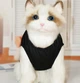 Футболка для собак и кошек "TIGER" Black Size XS - изображение 5
