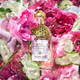Woda toaletowa unisex Guerlain Aqua Allegoria Rosa Verde 75 ml (3346470149168) - obraz 3