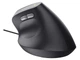 Миша Trust Bayo 2 Ergonomic Black (25144) - изображение 6