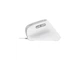 Миша Trust Bayo 2 Ergonomic White (25397) - изображение 3
