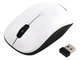 Миша Maxxter Mr-333-W White USB - зображення 1