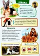Велика книга знань для малюків - изображение 6