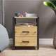 Тумба універсальна Ferrum-decor Вів'єн 2/2 50x41x40 чорний ДСП Дуб Сан-Марино 16мм (FRD-104157) - зображення 1