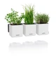 Розумний вазон Lechuza Green Wall Home Kit Color прямокутний 40 см (48 x 15 x 14 ) білий (13398) - зображення 9