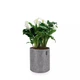 Розумний вазон Lechuza TRENDCOVER круглий 23 см Фетр темно сірий (14182) - зображення 7