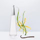 Woda perfumowana damska Issey Miyake L'eau D'issey Intense 50 ml (3423222118327) - obraz 4