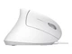 Миша Trust Verto Ergonomic White (25133) - зображення 6