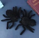 Іграшка дитячий м'який плюшевий Павук (Spider) Чорний, Wuke - изображение 3