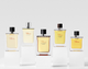 Парфумована вода для чоловіків Hermes Terre D'hermes Intense 50 мл (3346130424109) - зображення 6